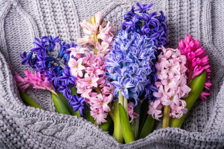 Produse promotionale pentru evenimente corporate. Cum pregatesti corect un eveniment de brand